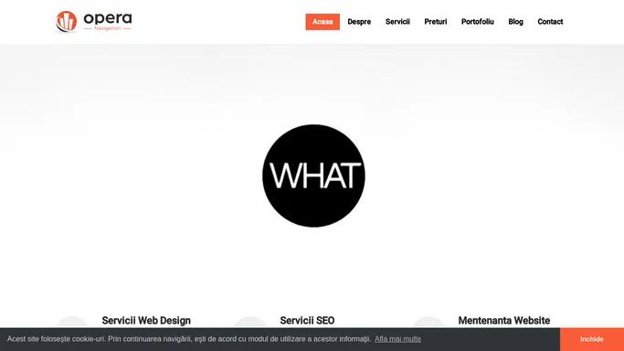 Web Design - Servicii SEO - Agentie de Marketing Digital