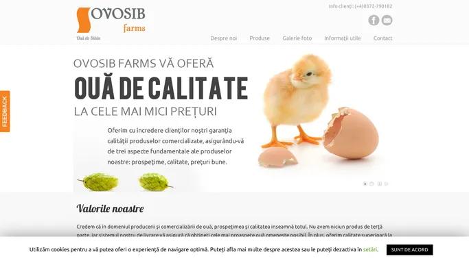 Ovosib Farms - Oua de Sibiu