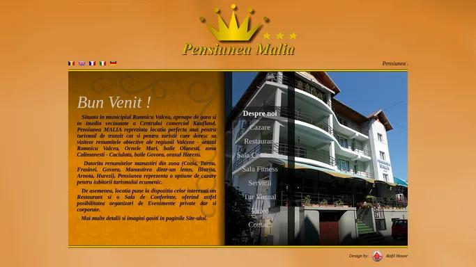 Pensiunea Malia - Ramnicu Valcea, cazare ieftina la pensiuni hoteluri Ramnicu Valcea, camere ieftine hotel pensiune Ramnicu Valcea