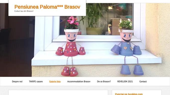 Pensiunea Paloma Brasov
