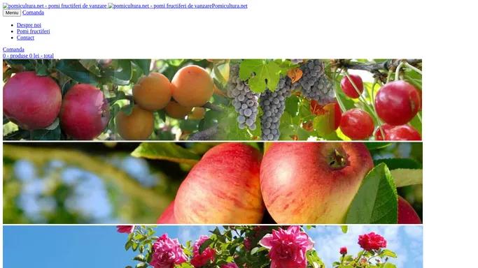 Pomicultura - Pomi fructiferi - pepiniera Aiud, Alba.