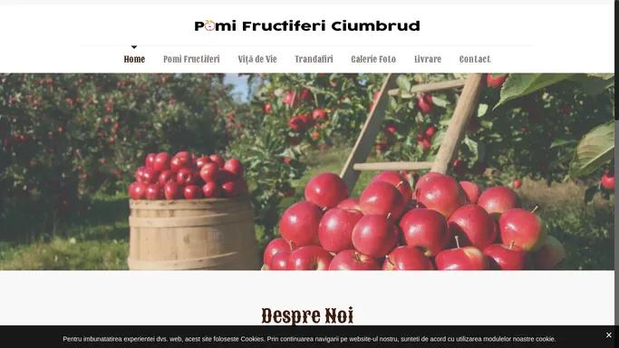 Pomi Fructiferi Ciumbrud - S.C VIO DARIO PLANT S.R.L.