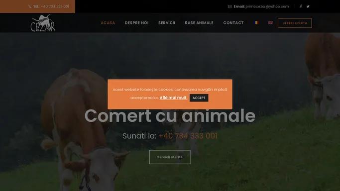 Primo Cezar - Comert & Transport Animale Vii - Blue Blegique - Simenthal