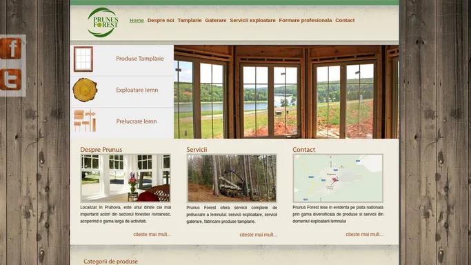 Usi interior lemn stratificat, Usi exterior lemn, Scari lemn, Servicii Gaterare, Prelucrare lemn |Prunus Forest