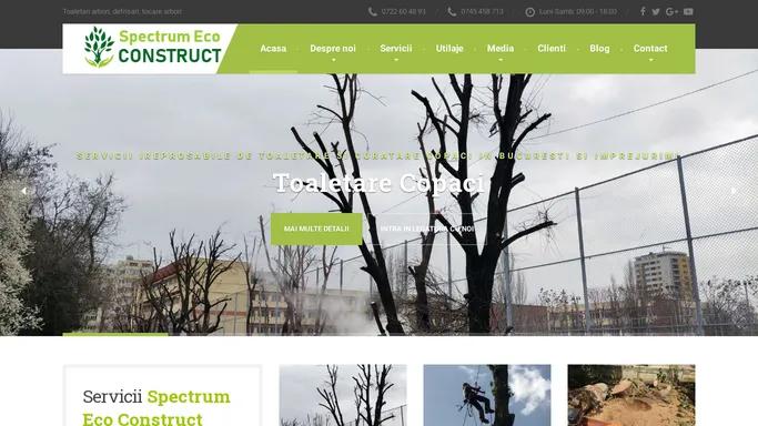Toaletari arbori, defrisari, tocare arbori - Spectrum Eco Construct