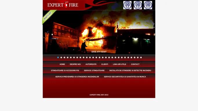 Stingatoare, cutii de hidranti, pichete si accesorii PSI-Expert Fire