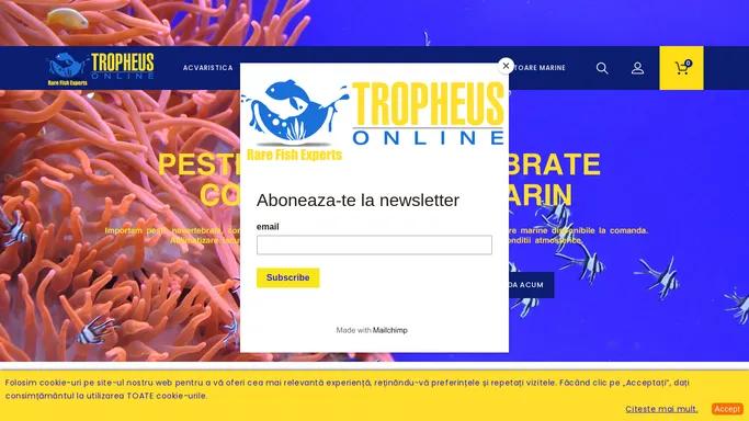 Tropheus Online