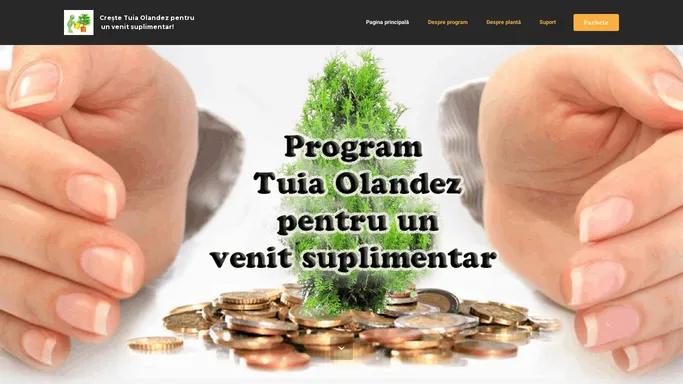 Program Tuia Olandez pentru un venit suplimentar