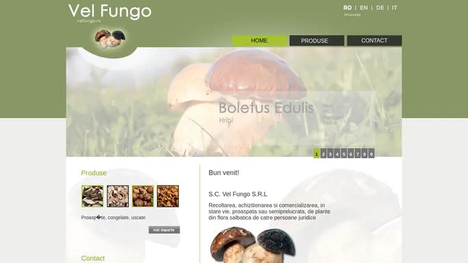 Recoltarea, achizitionarea si comercializarea ciupercilor proaspete, congelate si uscate - S.C. Vel Fungo SRL