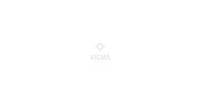 Specialisti in constructii 🏗️ VIGMA