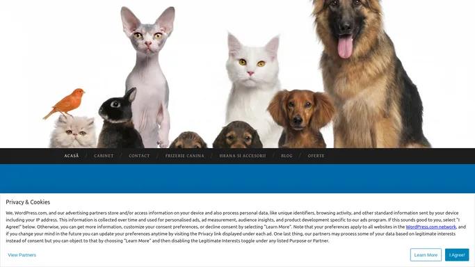 Cabinet veterinar Constanta | Cabinet veterinar Constanta, veterinar constanta, Pet shop constanta, Frizerie canina constanta