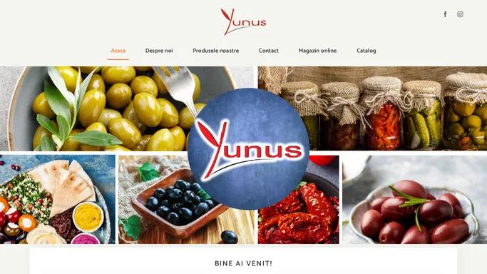 Yunus – Producator si importator de masline!